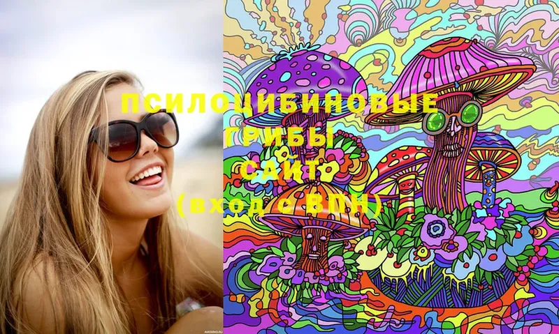 Псилоцибиновые грибы MAGIC MUSHROOMS  как найти наркотики  Ершов 